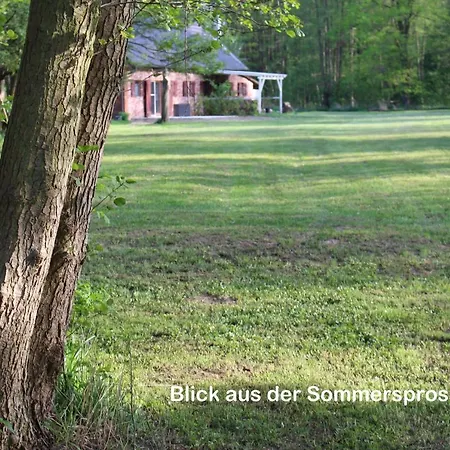 Sommersprosse Apartment